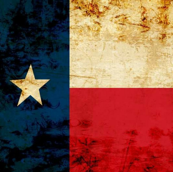 Meet your Posher, Ant - Picture 1 of 1